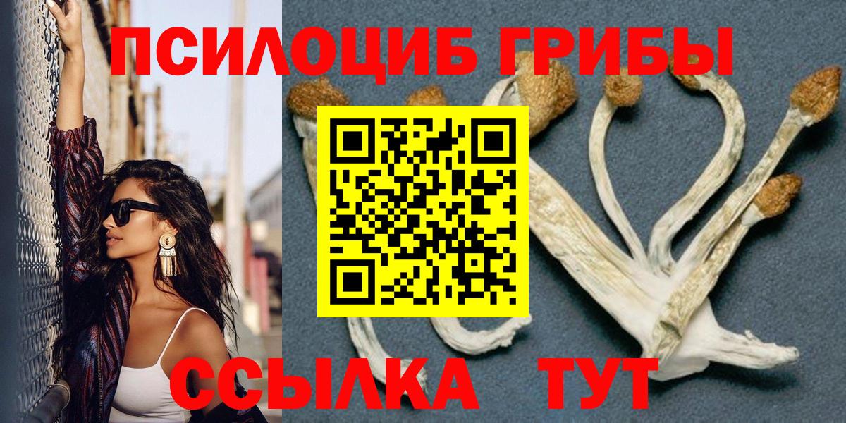 Галлюциногенные грибы GOLDEN TEACHER Красный Сулин