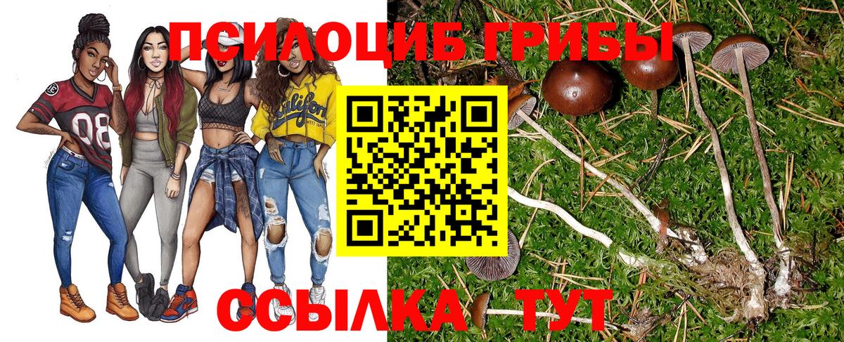 Красный Сулин  Галлюциногенные грибы Psilocybe  Вход с VPN 